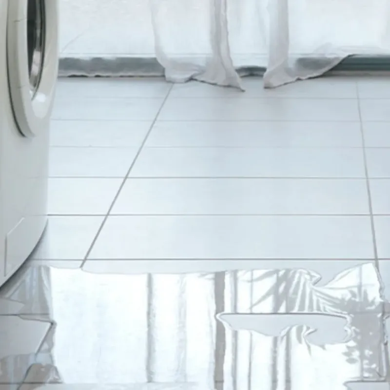 Appliance Leak Cleanup in Gilbert, IA