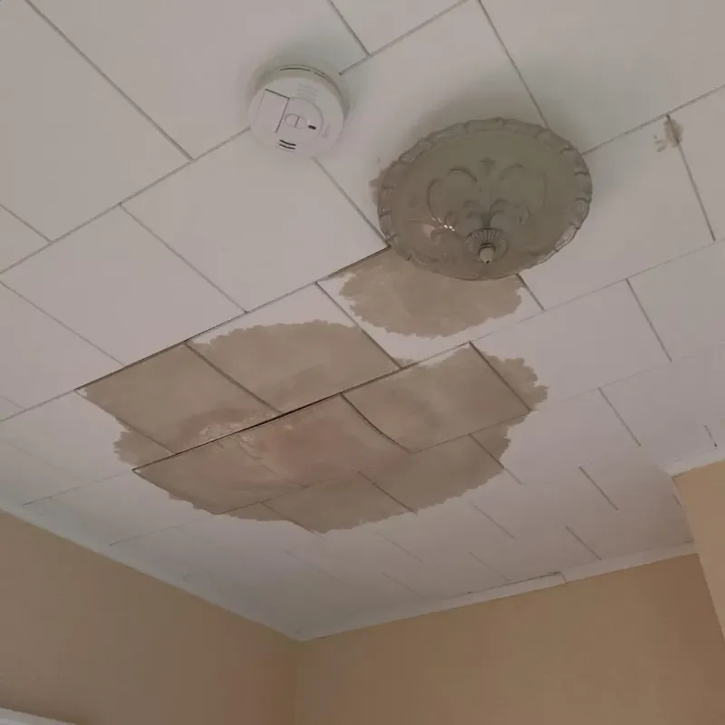 Ceiling Water Damage Repair in Gilbert, IA