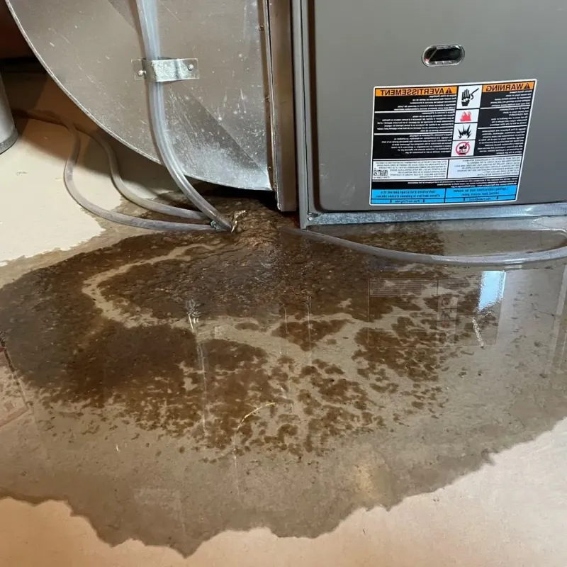 Pipe Burst and Leak Restoration in Gilbert, IA