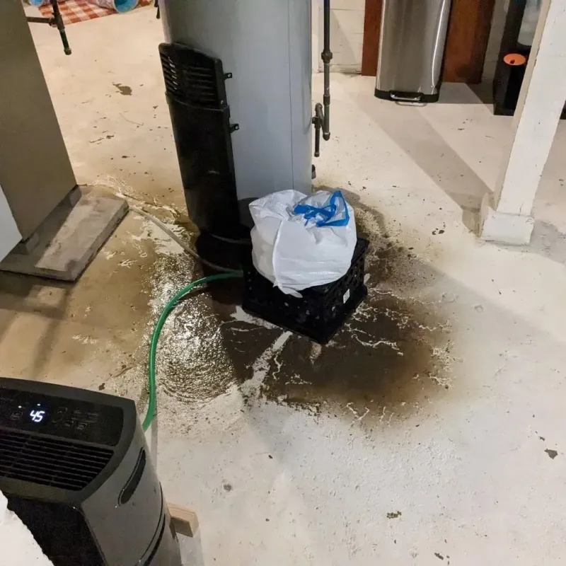 Sewage Backup Cleanup Service in Gilbert, IA